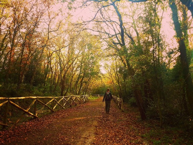 Bosco di Sant’Antuono