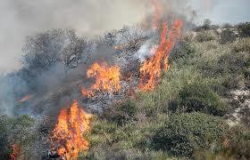 Ordinanza n.26 del 03/06/2020 dichiarazione dello stato di grave pericolosita' degli incendi boschivi anno 2020